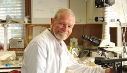 Brassica bacterial diseases project update